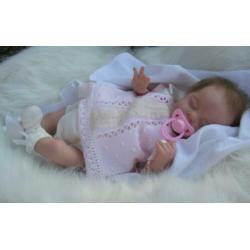 Reborn pop van bosbabies