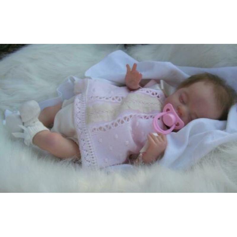 Reborn pop van bosbabies