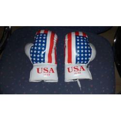 Boks hand schoenen