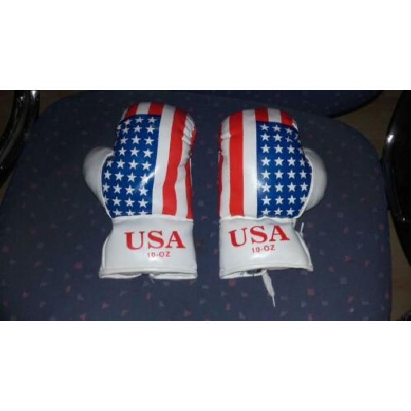 Boks hand schoenen
