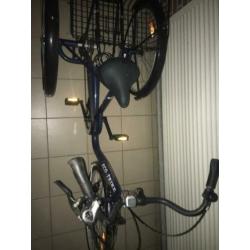 Driewieler eco-trike