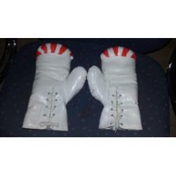 Boks hand schoenen