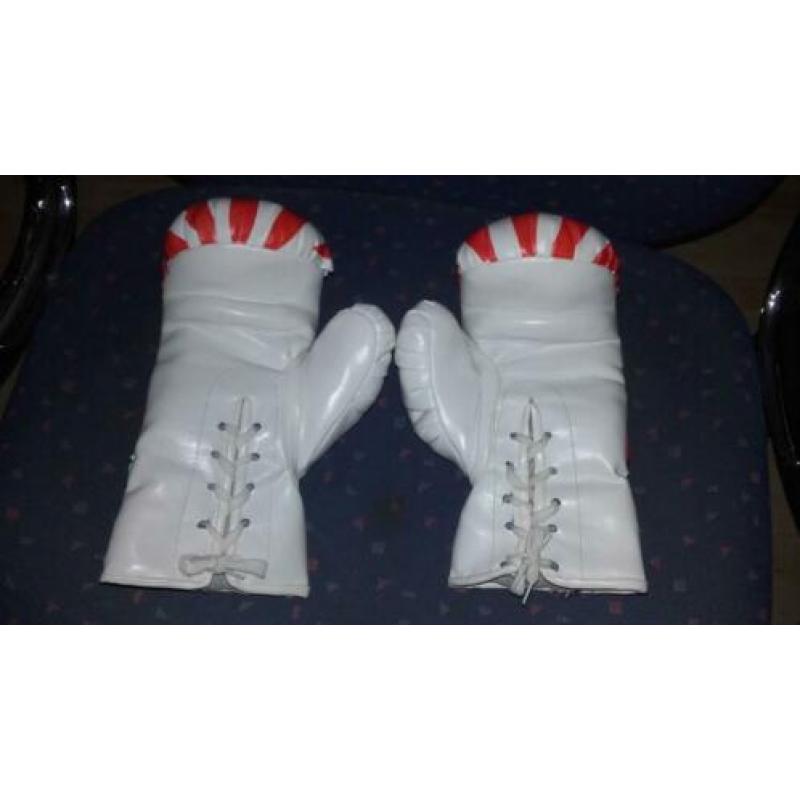 Boks hand schoenen