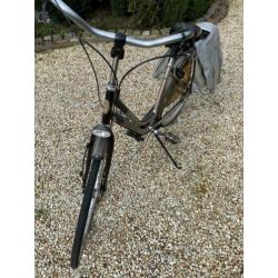 Multicycle damesfiets