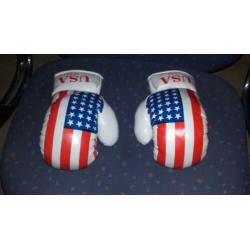 Boks hand schoenen
