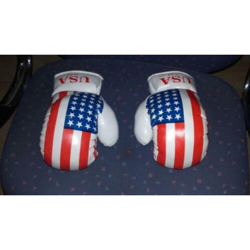 Boks hand schoenen
