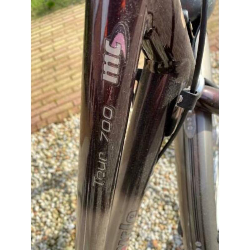 Multicycle damesfiets