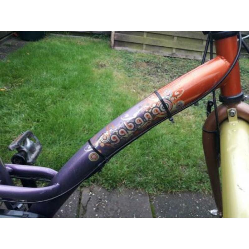 batavus, gabana 24 inch