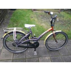 batavus, gabana 24 inch
