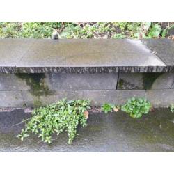 Terras tegels natuursteen 60x60cm 55m2