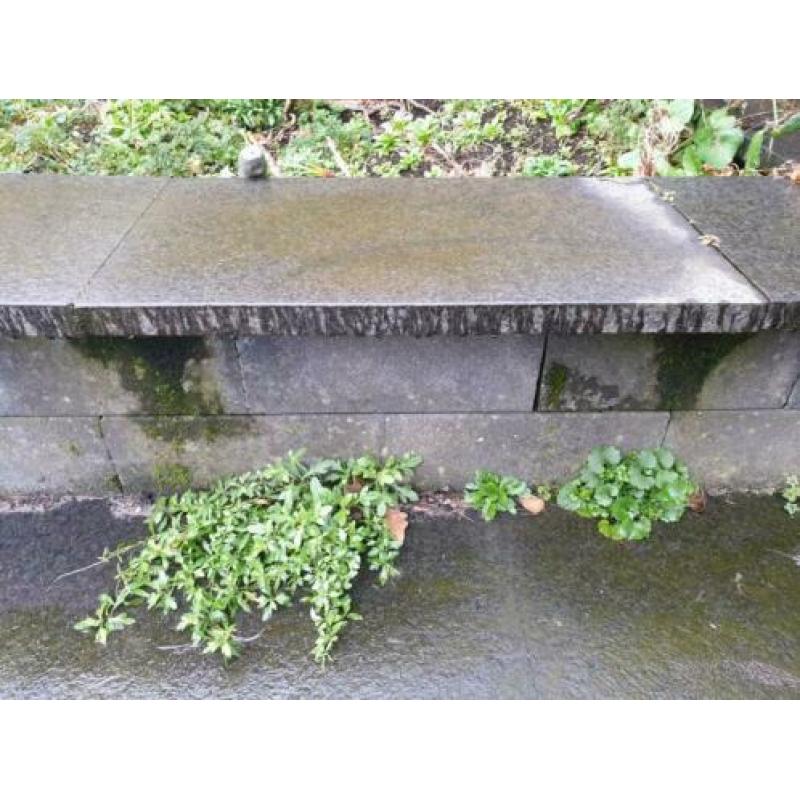 Terras tegels natuursteen 60x60cm 55m2