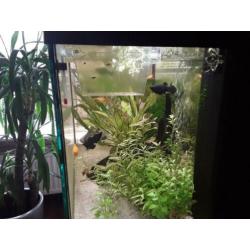 Aquarium