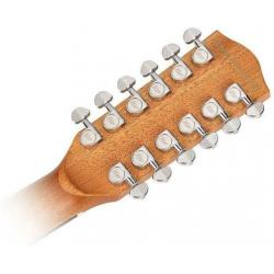 Akoestische gitaar 12-snarige dreadnought | Richwood