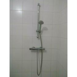 Douchekraan met handdouche Grohe