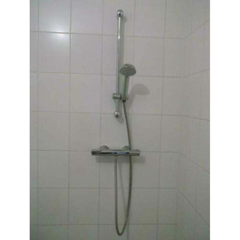 Douchekraan met handdouche Grohe