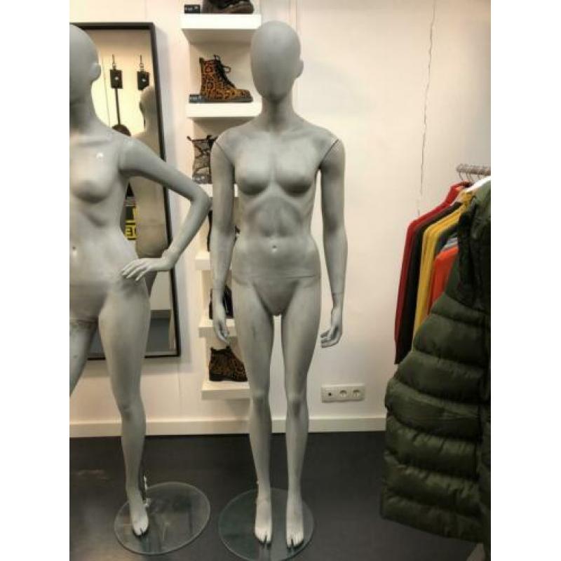 3 dames betonlook paspoppen 100€ ps (nieuwwaarde 350€ ps)