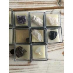 Mineralen en fossielen