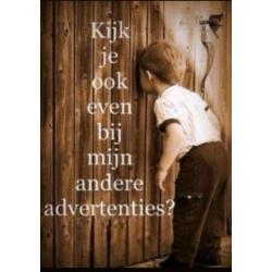 Nes spellen