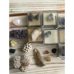 Mineralen en fossielen
