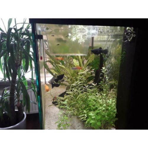 Aquarium