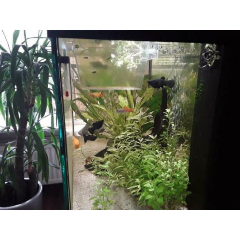 Aquarium