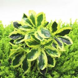 13. NIEUW Kunstmatige Groene Plant Bladeren Kunstplant Bloem