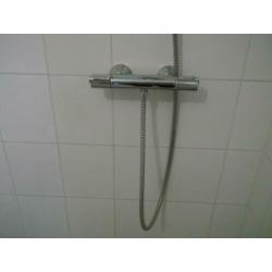 Douchekraan met handdouche Grohe