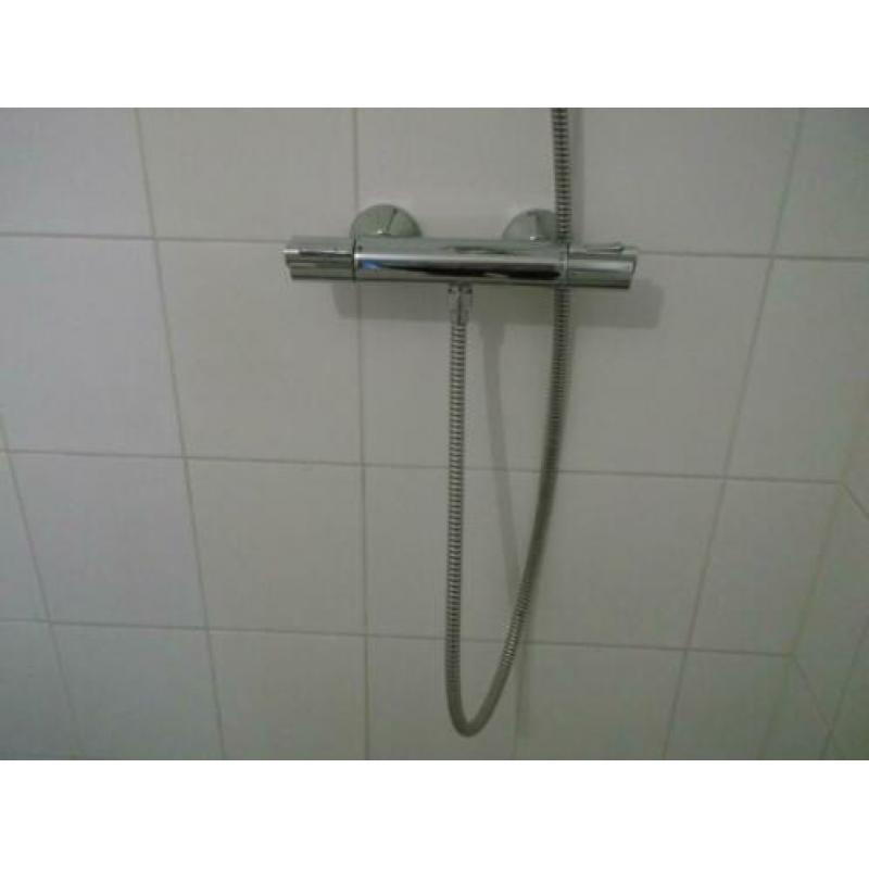 Douchekraan met handdouche Grohe