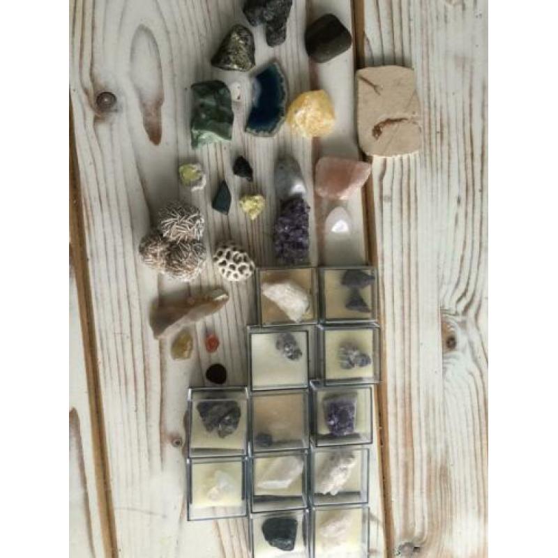 Mineralen en fossielen