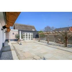 mediterraanse terrastegels Castle Stone Yellow wildverband