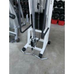 Technogym Ercolina reba met 80kg Steekgewichten