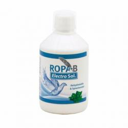 Knoflook vloeibaar 500ml voor Duiven / Vogels Bloedzuiverend