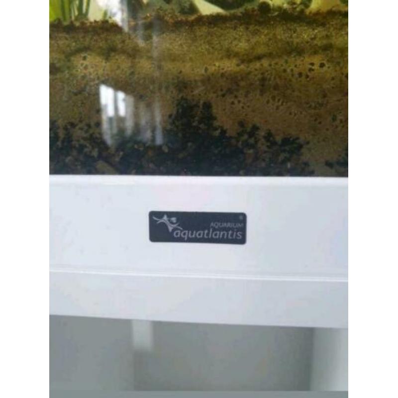 Aqualantis aquarium 150cm