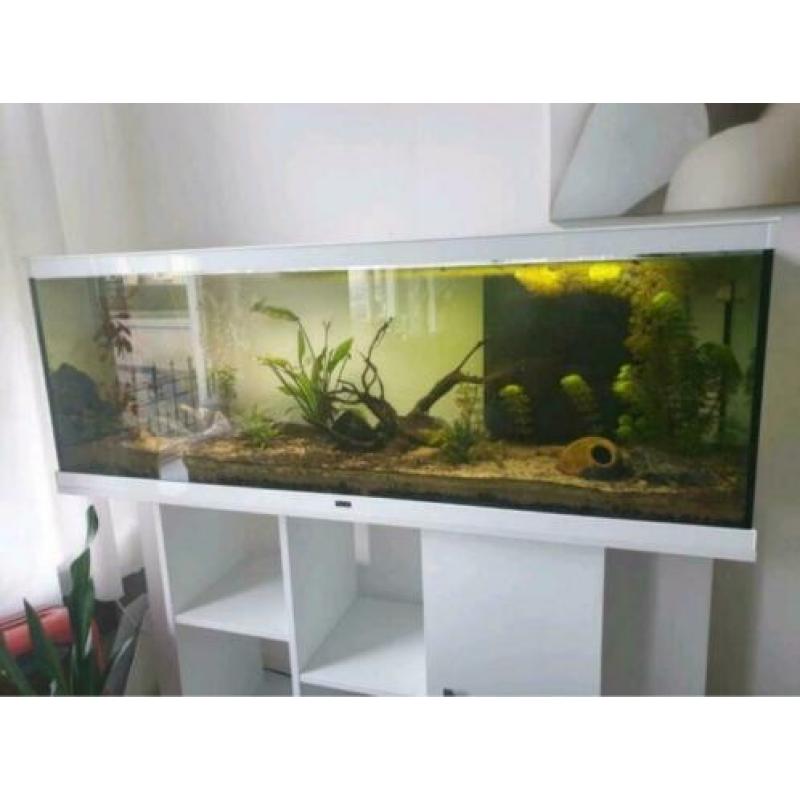 Aqualantis aquarium 150cm