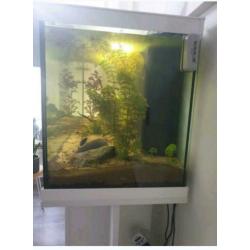 Aqualantis aquarium 150cm
