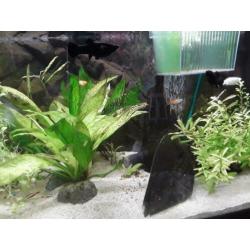 Aquarium