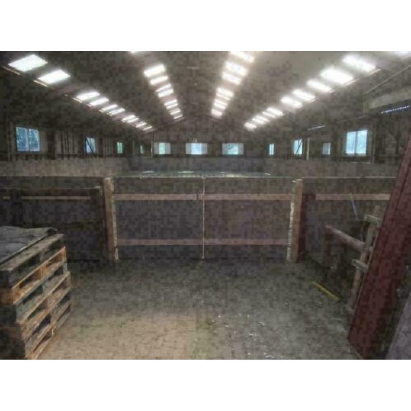 Super mooie steenschotten voor hokken 110x140 AA kwaliteit