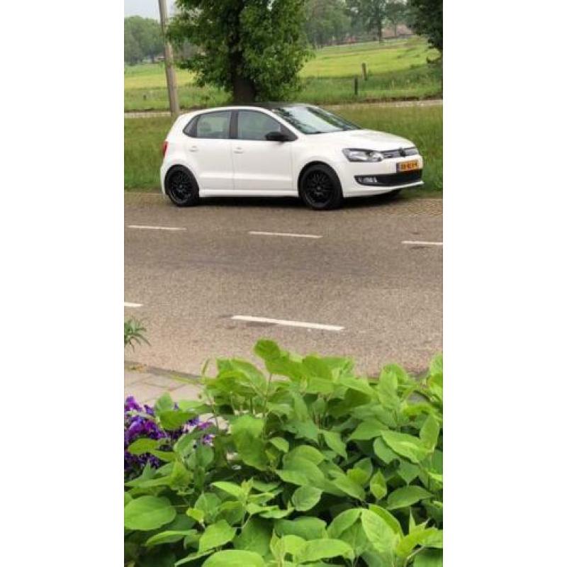 Volkswagen Polo 1.2 TDI 55KW BM 2011 Wit