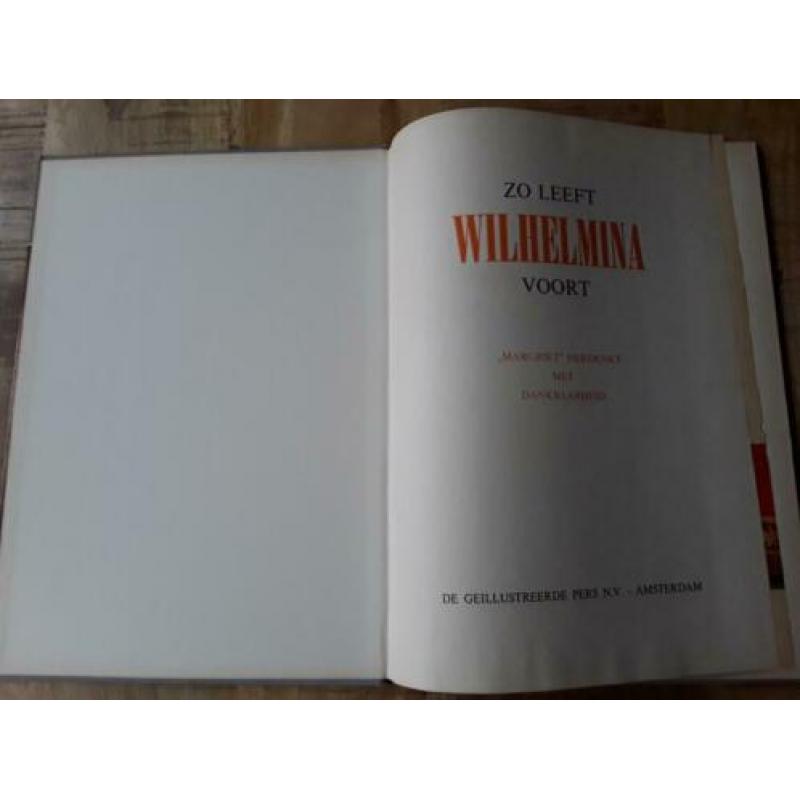 Wilhelmina