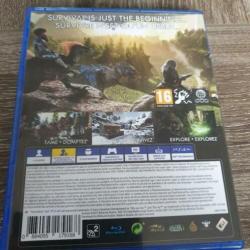 Ark