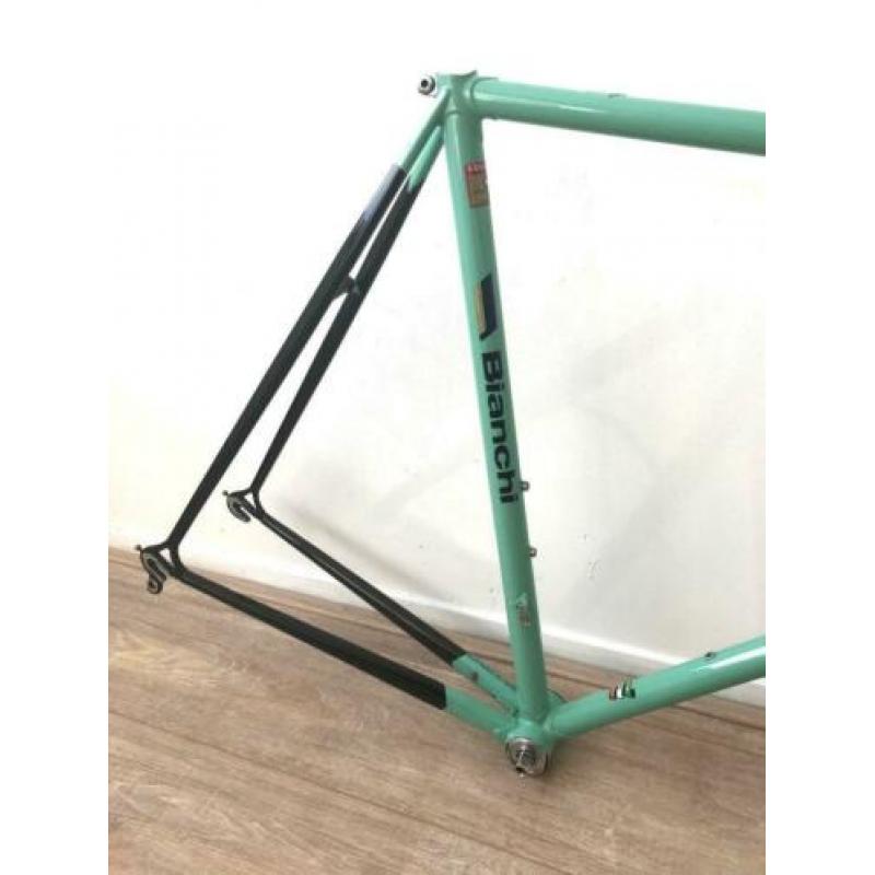 Bianchi Specialissima X4 Argentin TSX frame Campagnolo