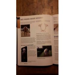 Hoe beweegt uw paard?