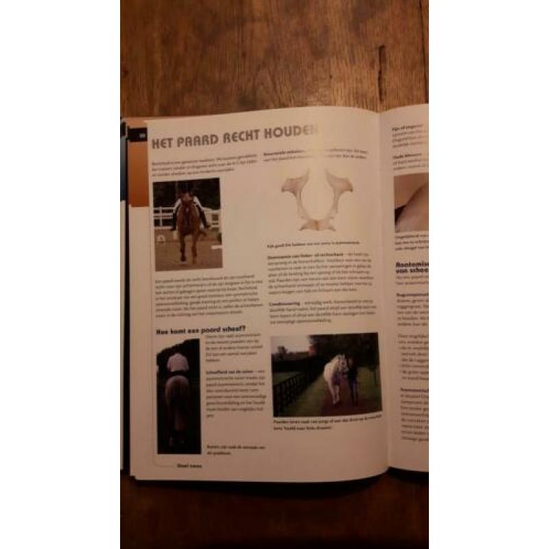 Hoe beweegt uw paard?