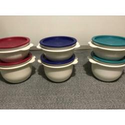 Tupperware 6 bakjes 3x400 ml/ 3x 700ml