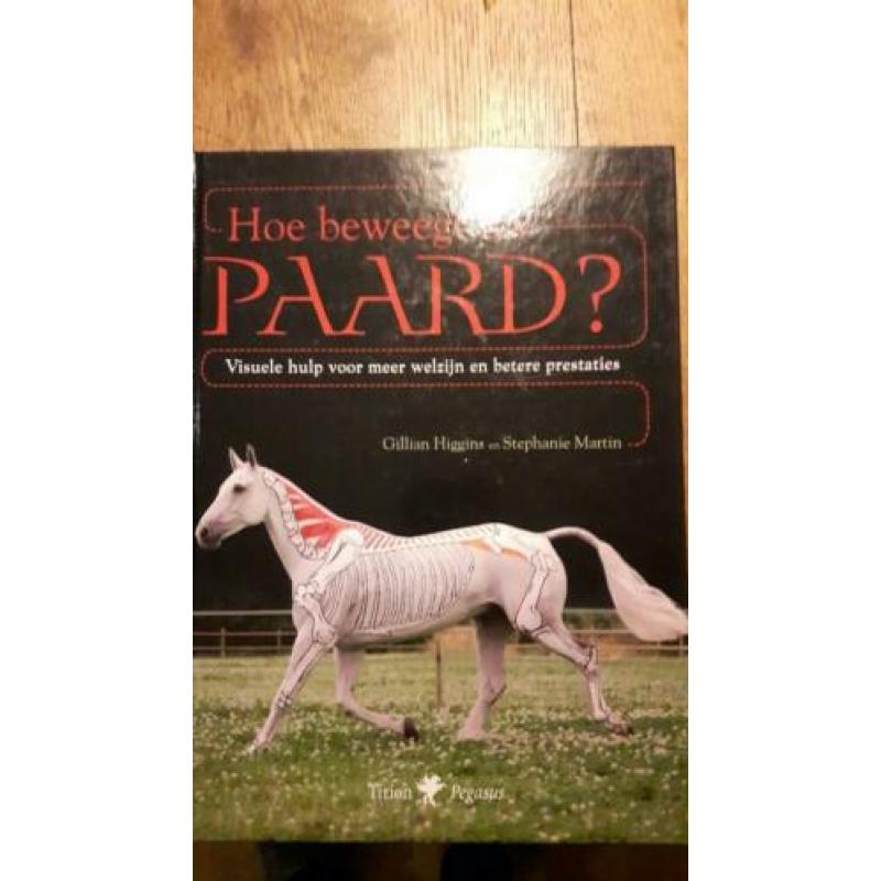 Hoe beweegt uw paard?