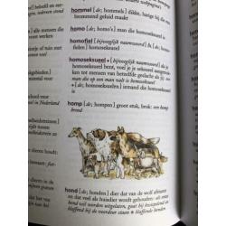 Books for learning Dutch