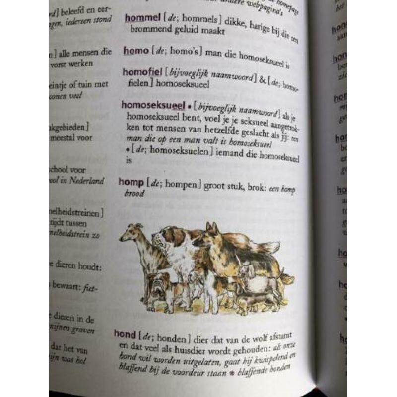 Books for learning Dutch
