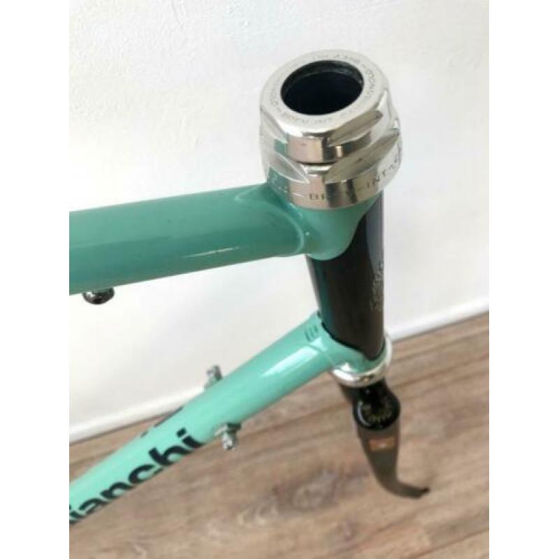 Bianchi Specialissima X4 Argentin TSX frame Campagnolo