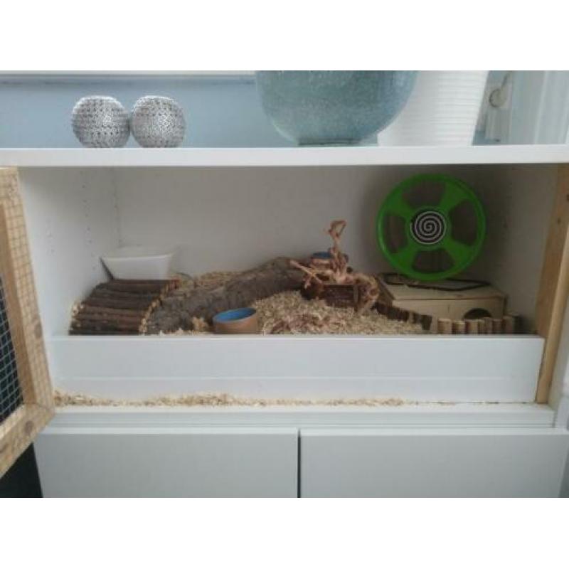 Hamsterkooi 80x40