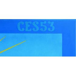 Ces53 Graffiti streetart schilderij